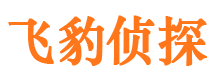 颍上捉小三公司